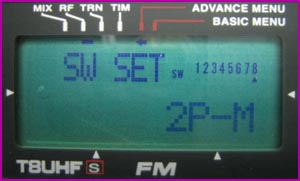 Radio Menu